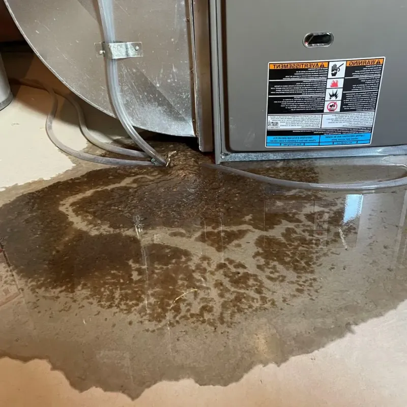 Pipe Burst and Leak Restoration in Oak Creek, WI
