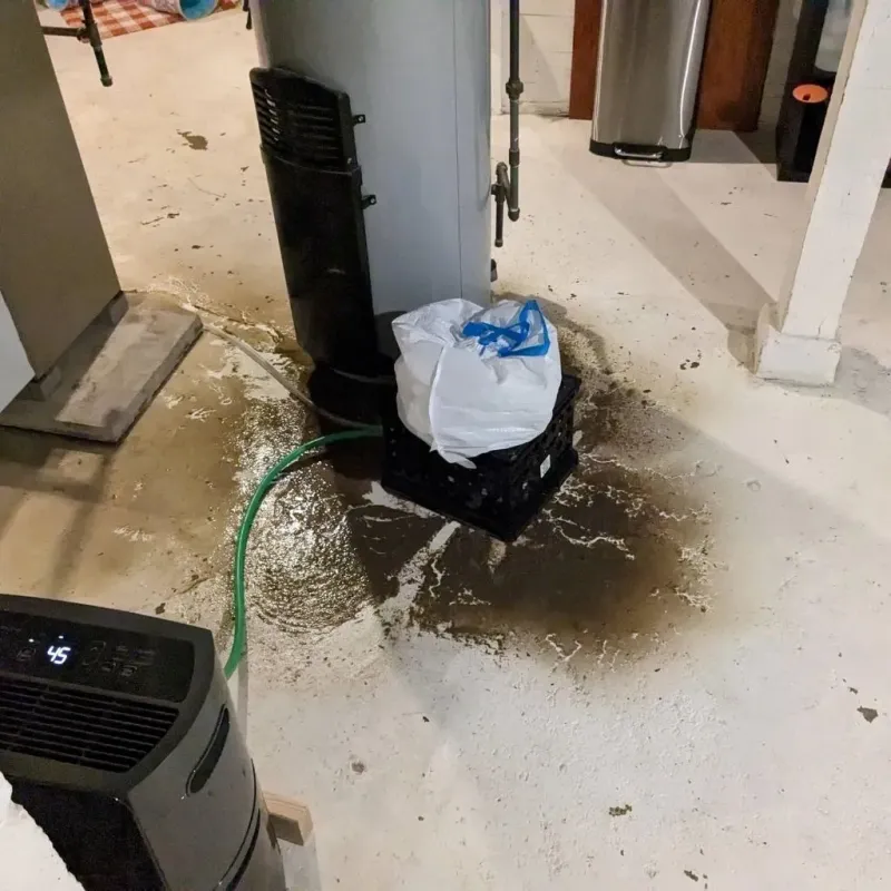 Sewage Backup Cleanup Service in Oak Creek, WI